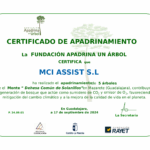 En MCI Group seguimos creciendo… ¡y plantando vida!
